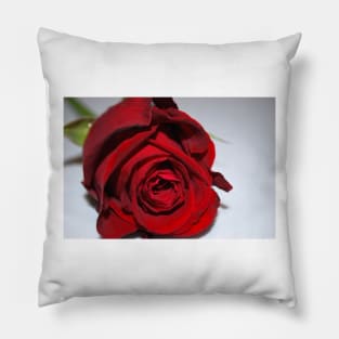 Red rose Pillow