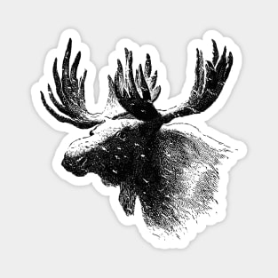 Vintage Elk Sketch Magnet
