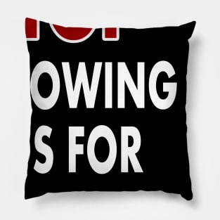 Stop showing me ads for thing Pillow