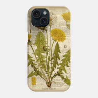 Botanical print, on old book page - Dandelion Phone Case