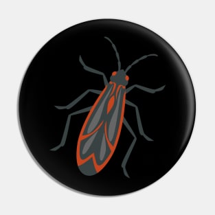 boxelder bug- bug lovers Pin