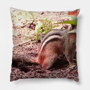 Chipmunk Pillow