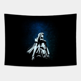 Akame ga kill - Esdeath Tapestry