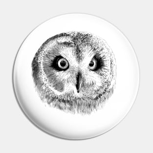 Owl Pin