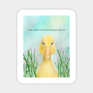 Dreams come true, a ray of hope, spirt animals, spring Magnet