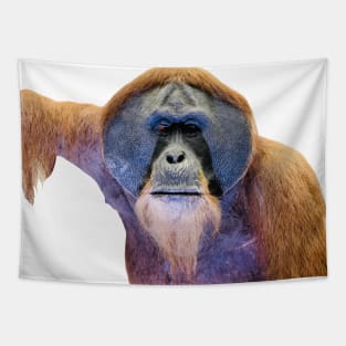 Orangutan Tapestry