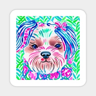 Preppy, colorful dog portrait Magnet