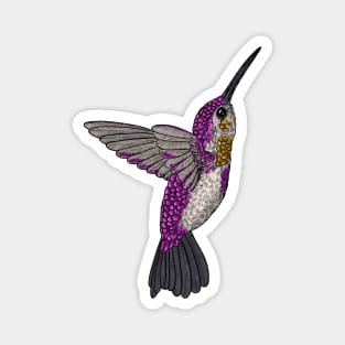 Hummingbird Magnet