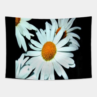 Daisy Blooms - White Floral Botanicals Tapestry