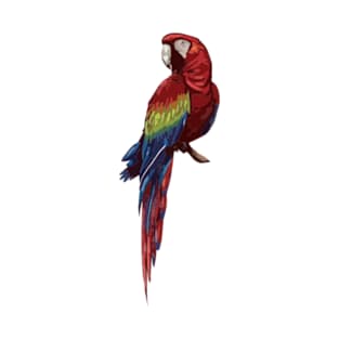 Scarlet Macaw Digital Painting T-Shirt