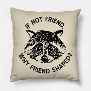 If not friend, why friend shaped? Pillow