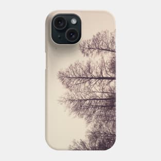 Winter Branches Phone Case