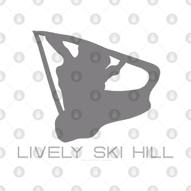 Lively Ski Hill Resort 3D by Mapsynergy
