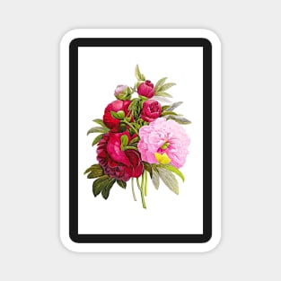 Peonies Art Floral Print Red Peonies Poster Blush Pink Peony Art Magnet