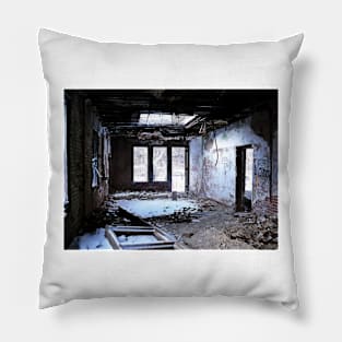 Indoor Wonderland Pillow