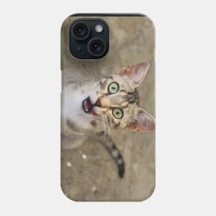 Cat Licking Its Lips Phone Case