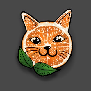 Orange kittysicle T-Shirt