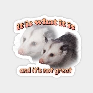 it is what it is... and it's not great possum meme Magnet