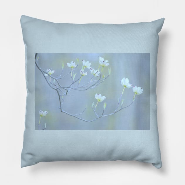 Dogwood Blossoms Pillow by LaurieMinor