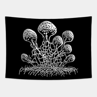 Mycelial fantasy II Tapestry