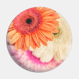 Daisy - Golden on Pink Pin