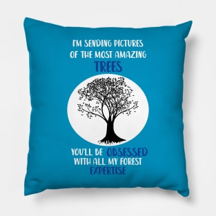 Dear Evan Hansen Sincerely me Pillow