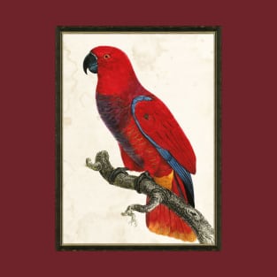 The Red Parrot T-Shirt