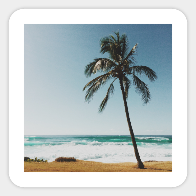 Palm tree by the Beach - Beach - Sticker