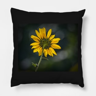 Sunny Sunflower Following the Sun Pillow