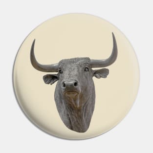 Bull Statue in Spain Pin