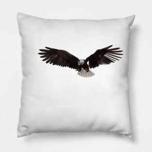 American bald Eagle Pillow