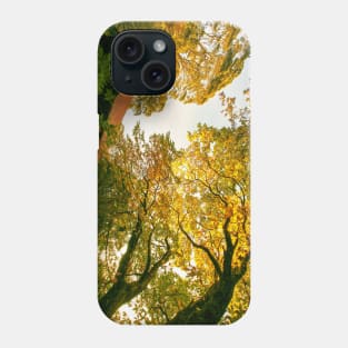 Chimney Cottage, Mount Wilson, Blue Mountains, Sydney, NSW, Australia Phone Case