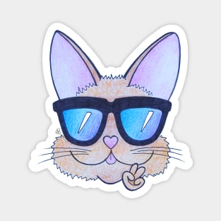 Kitten Wearing Sunglasses - A Cool Cartoon Cat Magnet
