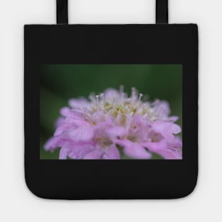 Pink Scabious Tote