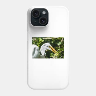 Great white egret in wildlife preserve Phone Case