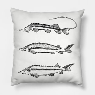 Sturgeon Pillow