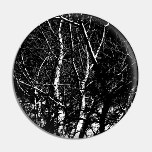 Winter trees bare branches black and white Pin