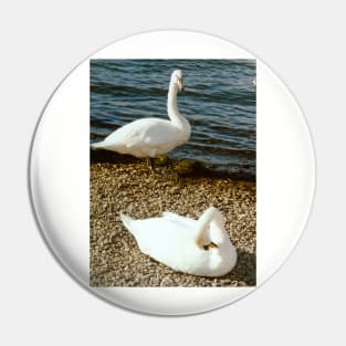 Swan song Pin