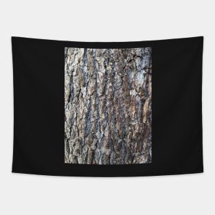 Bark - Cedar of Lebanon #2 Tapestry