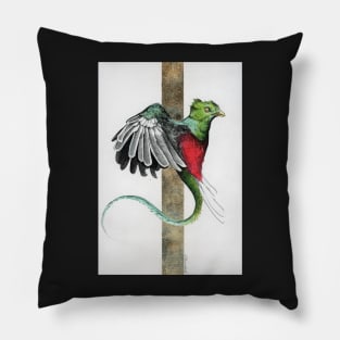 Flying bird (quetzal) Pillow