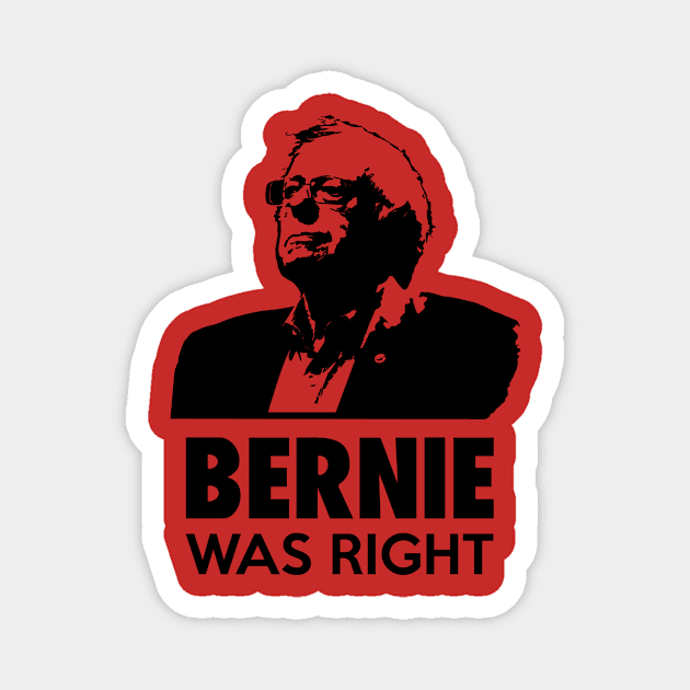 Bernie Was Right Magnet by ronKEYo Designs