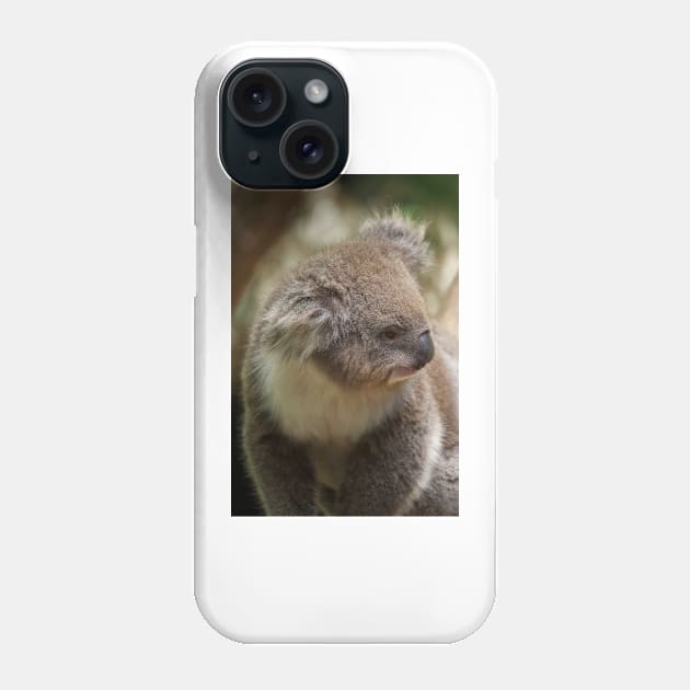 Koala In Profile Phone Case by GP1746