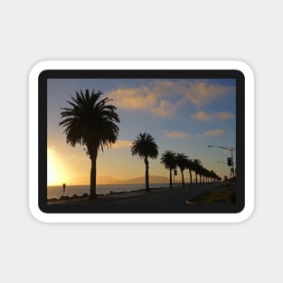 Treasure Island Sunset Palm Trees San Francisco CA Magnet