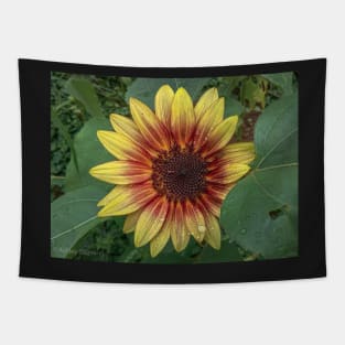 Strawberry Blonde Sunflower Tapestry