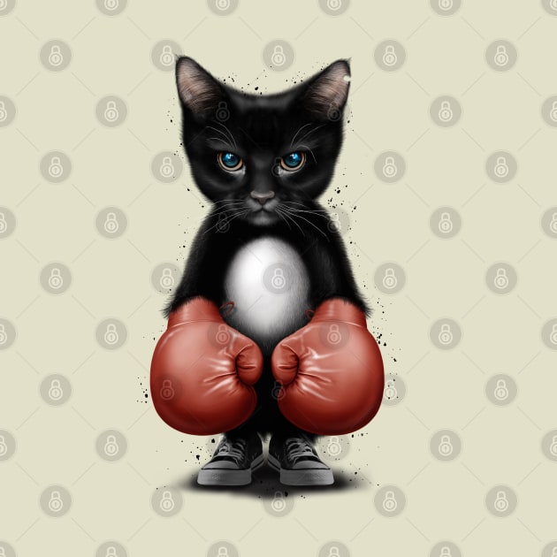 CAT BOXER 2017 by ADAMLAWLESS