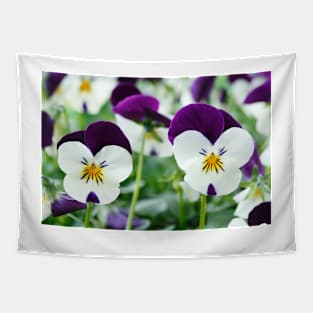 Viola  Rocky White with Purple Wings  Rocky series Tapestry