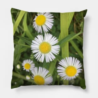 Tiny Wild Daisies 2 Pillow