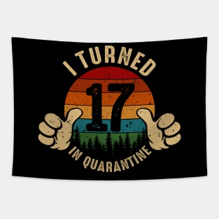 I Turned 17 In Quarantine Tapestry