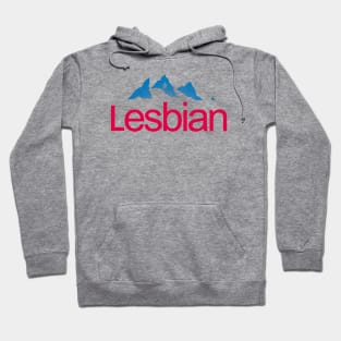  Lesbians are Divine Lesbian Bisexual Trans Gay Pride Pullover  Hoodie : Clothing, Shoes & Jewelry