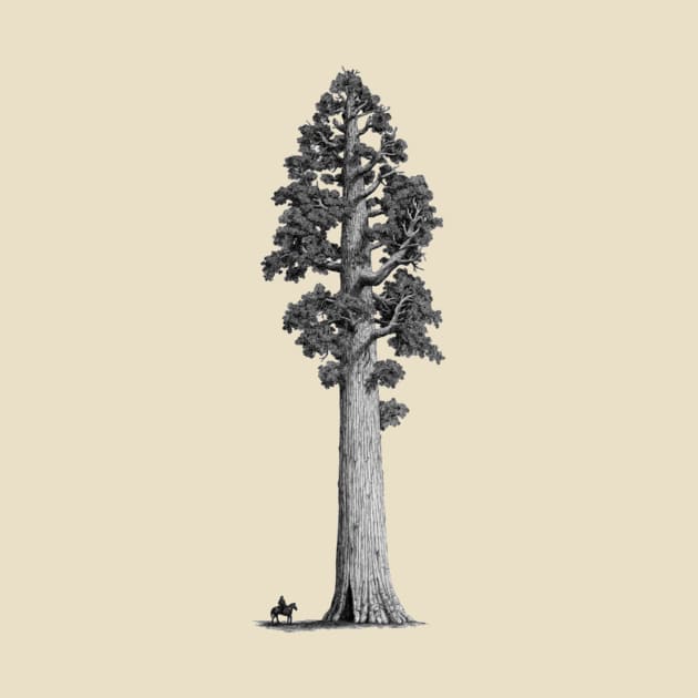 SEQUOIA TREE by The Jung Ones